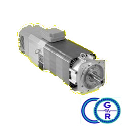 MOTORE MANDRINO 1PH 7163 MOTORE MANDRINO 1PH 7163